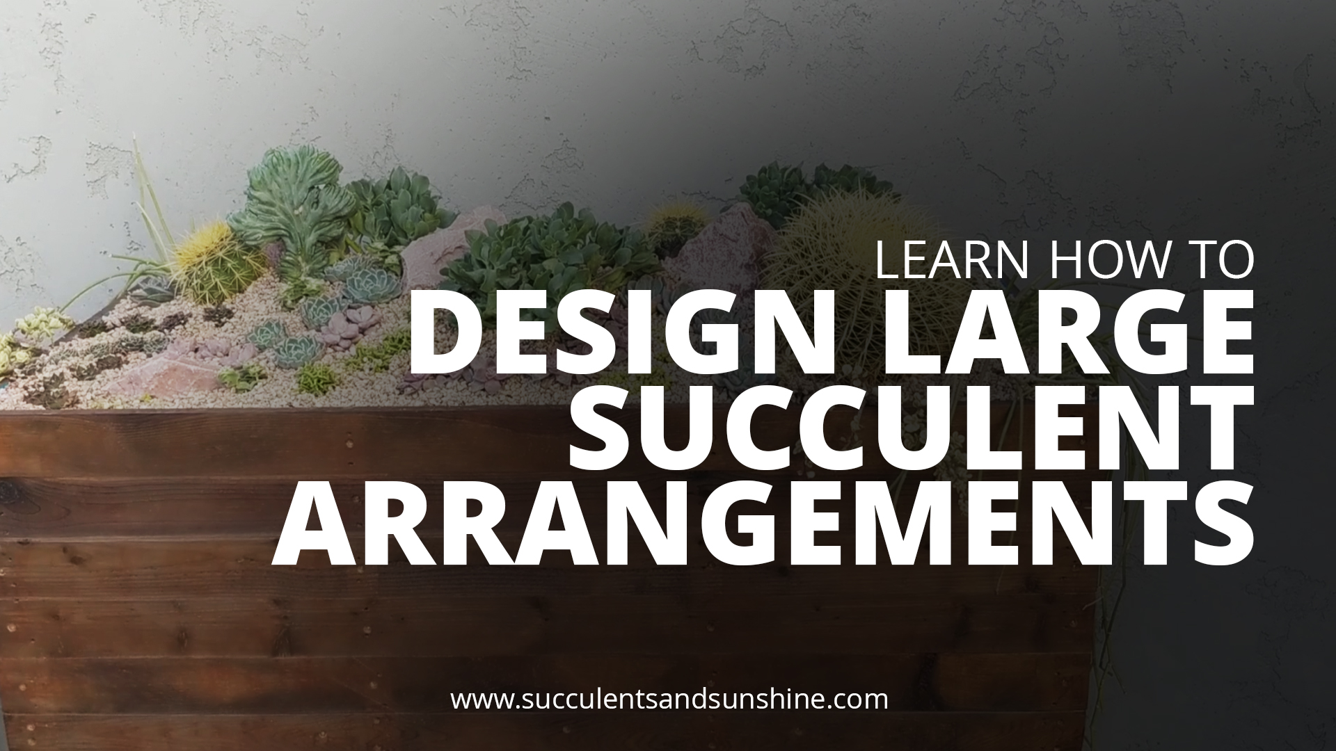 Learn How to Design a Large Succulent Arrangement - Thumbnail