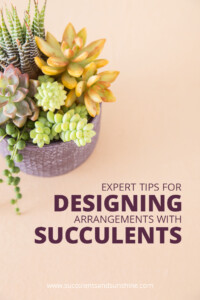 Expert Tips For Designing Succulent Arrangements