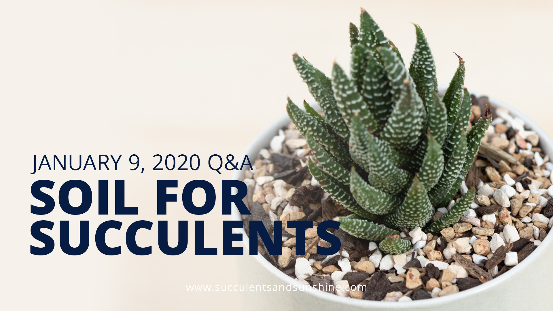 Soil for Succulents Q&A
